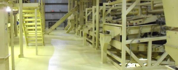 APGG - Peanut Shelling & Sales